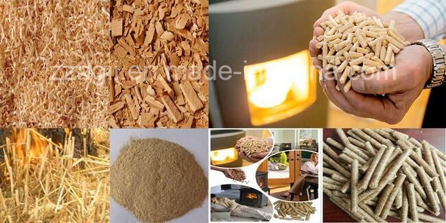 Green Energy Wholesale Small Sawdust Wood Biomass Pellet Machine