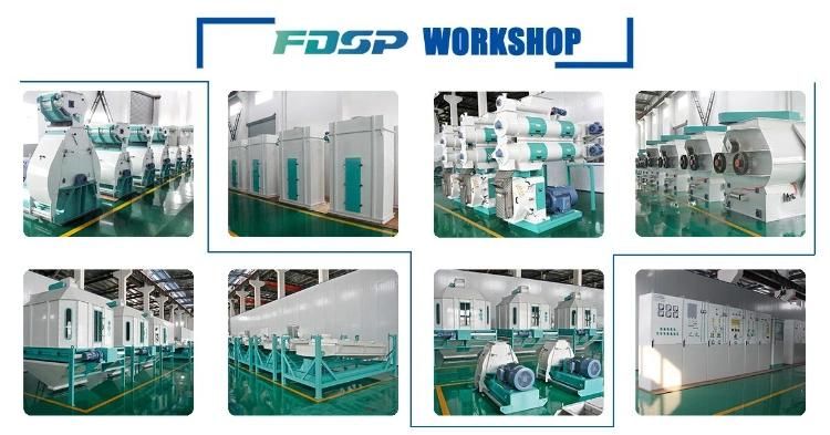 Assurance Ring Die Pellet Making Machine